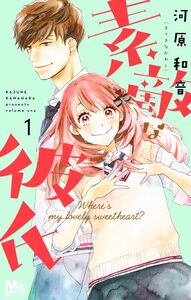 Cover of 素敵な彼氏 volume 1.